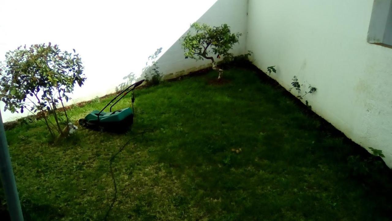 Apartment Luz